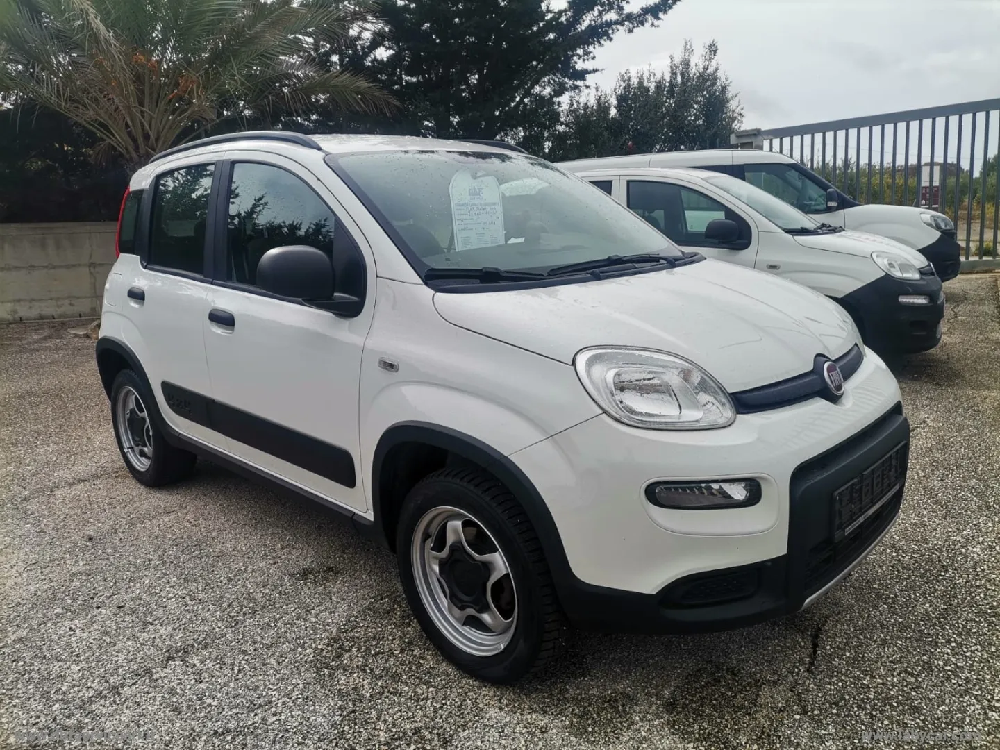 Fiat Panda Panda Cross 1.3 MJT 95 CV S&S 4x4 - Foto 64