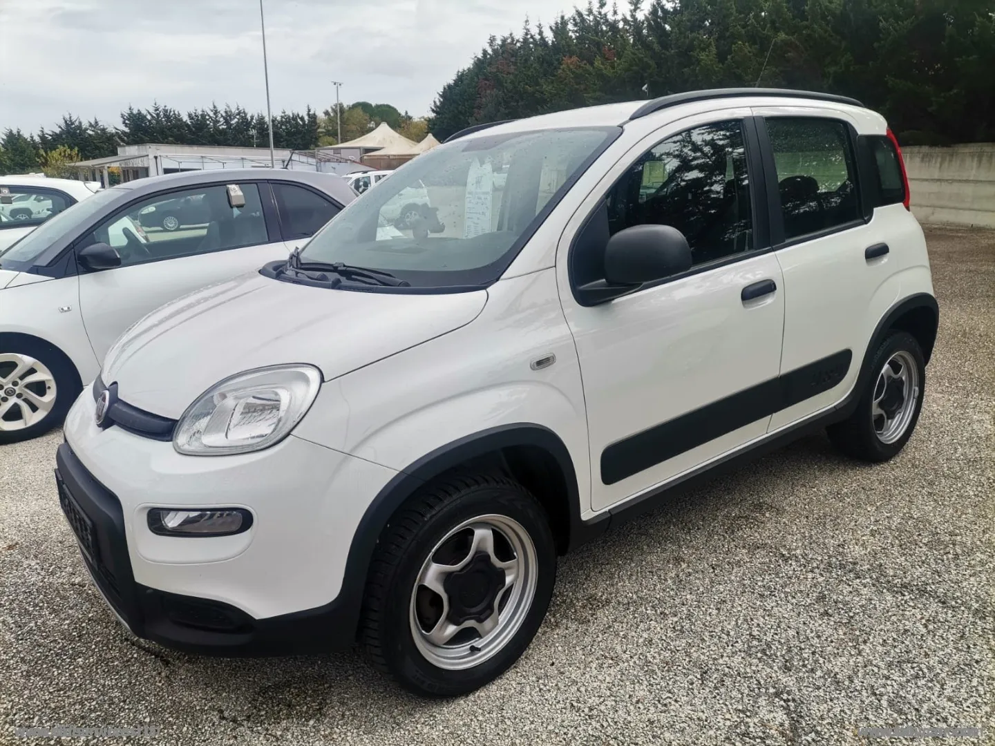 Fiat Panda Panda Cross 1.3 MJT 95 CV S&S 4x4 - Foto 113