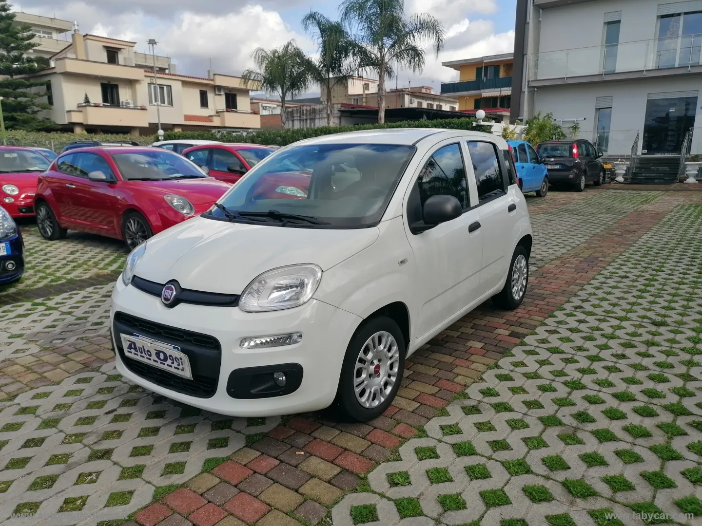 Fiat Panda Panda 1.3 MJT S&S Easy - Foto 2