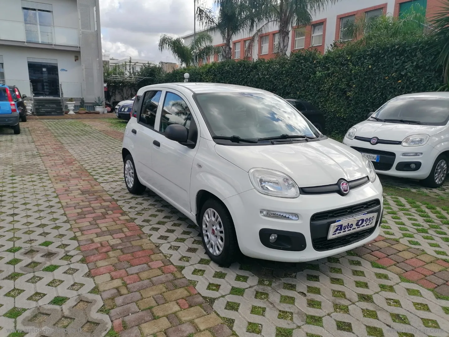Fiat Panda Panda 1.3 MJT S&S Easy - Foto 3
