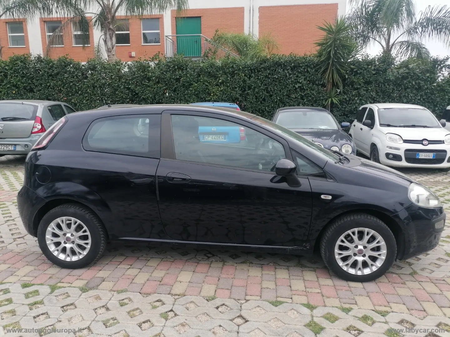 Fiat Punto Evo Punto Evo 1.2 3p. S&S Active - Foto 5