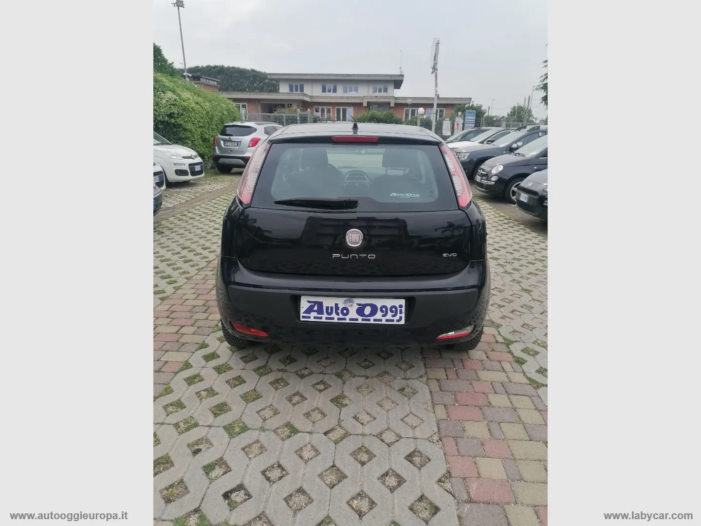 Fiat Punto Evo Punto Evo 1.2 3p. S&S Active - Foto 6