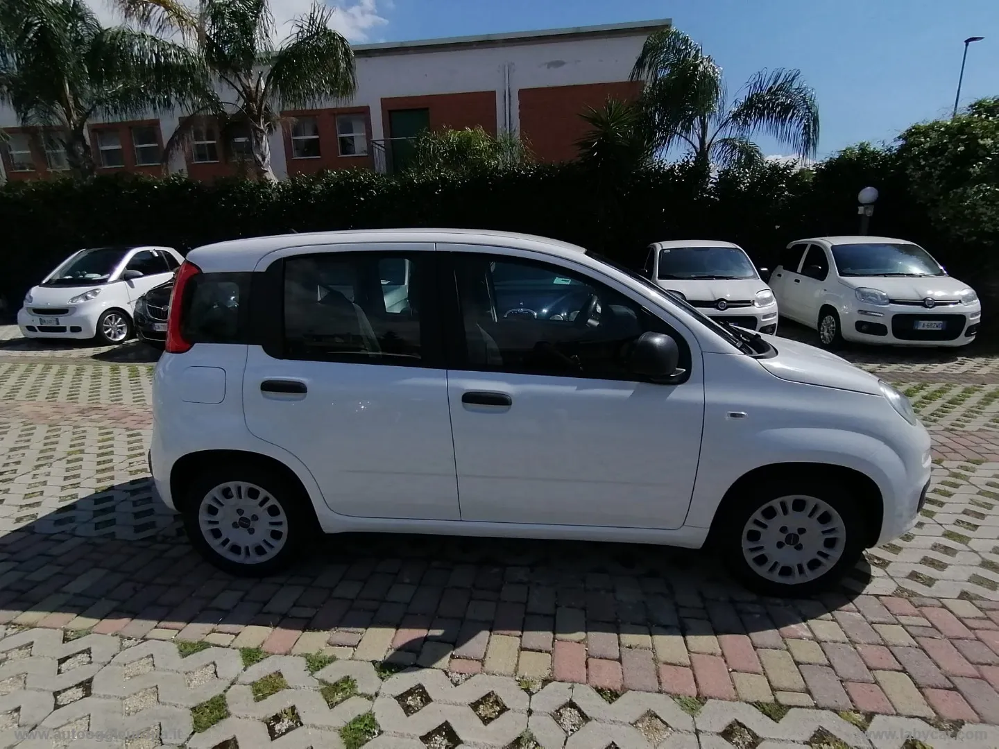 Fiat Panda Panda 1.2 EasyPower Easy - Foto 7