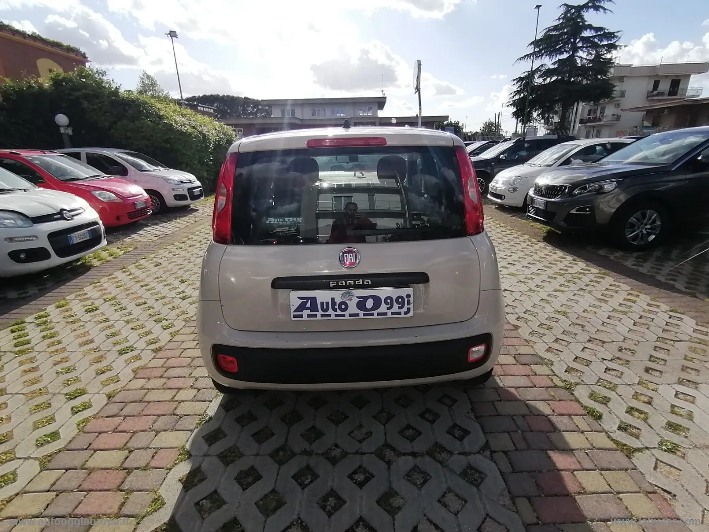 Fiat Panda Panda 1.2 EasyPower Easy - Foto 6