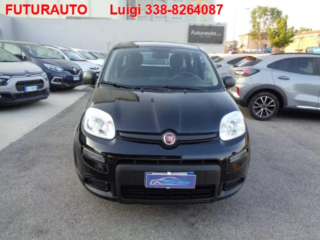 Fiat Panda 1.0 FireFly S&S Hybrid - Foto 1