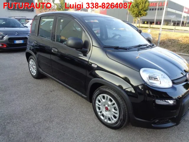Fiat Panda 1.0 FireFly S&S Hybrid - Foto 2