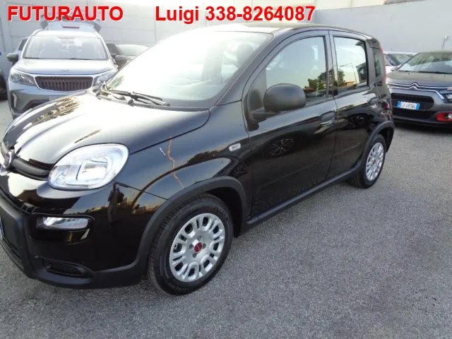 Fiat Panda 1.0 FireFly S&S Hybrid - Foto 3