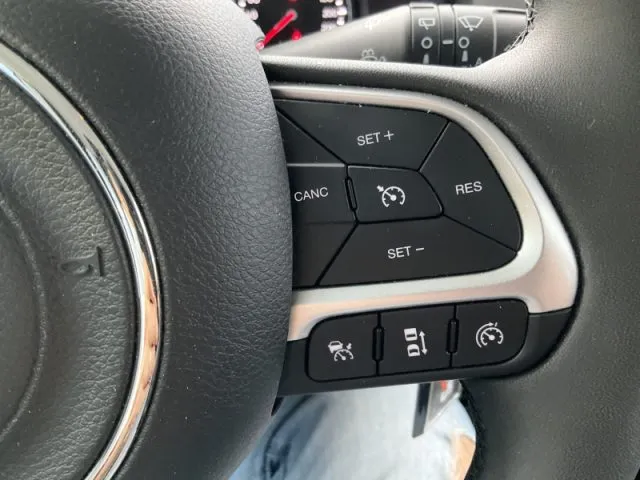 Jeep renegade - dettaglio 232