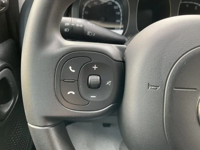 Fiat Panda Cross 1.0 FireFly S&S Hybrid - Foto 566