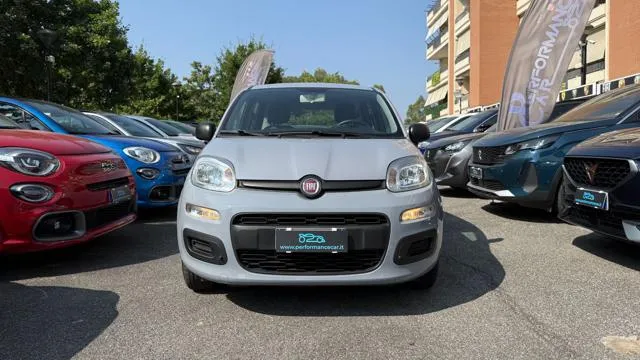 Fiat Panda Panda 1.2 Easy - Foto 4