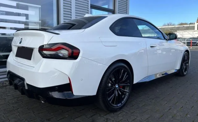 Bmw 220 - dettaglio 51