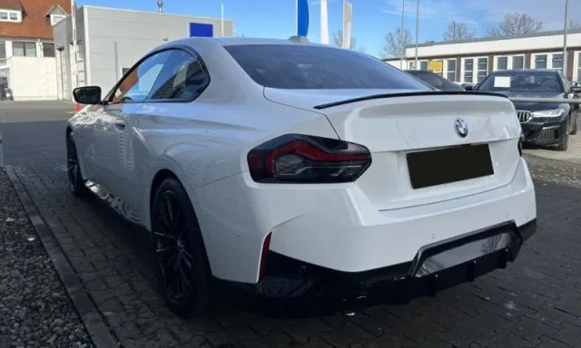 Bmw 220 - dettaglio 58