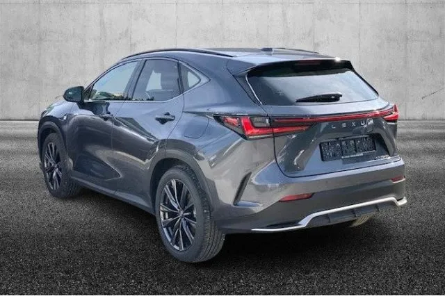 Lexus nx 300h - dettaglio 99