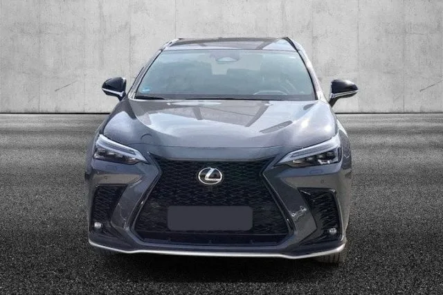 Lexus nx 300h - dettaglio 118