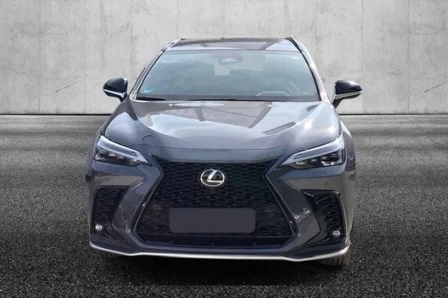 Lexus nx 300h - dettaglio 198