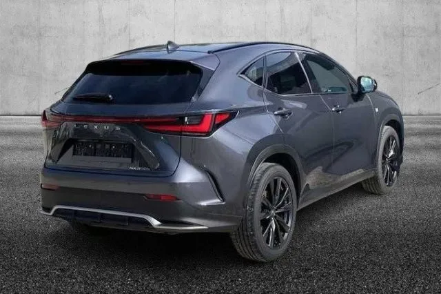 Lexus nx 300h - dettaglio 244