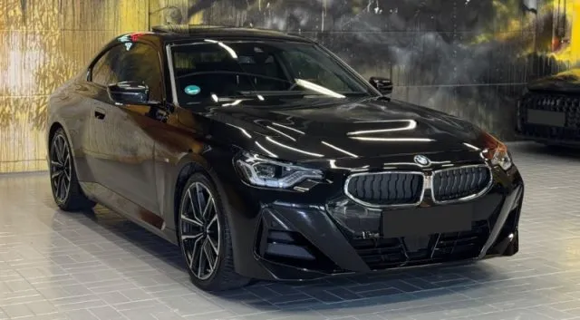 Bmw 220 - dettaglio 10