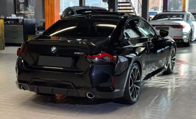 Bmw 220 - dettaglio 11