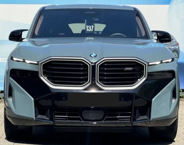 Bmw xm - dettaglio 20