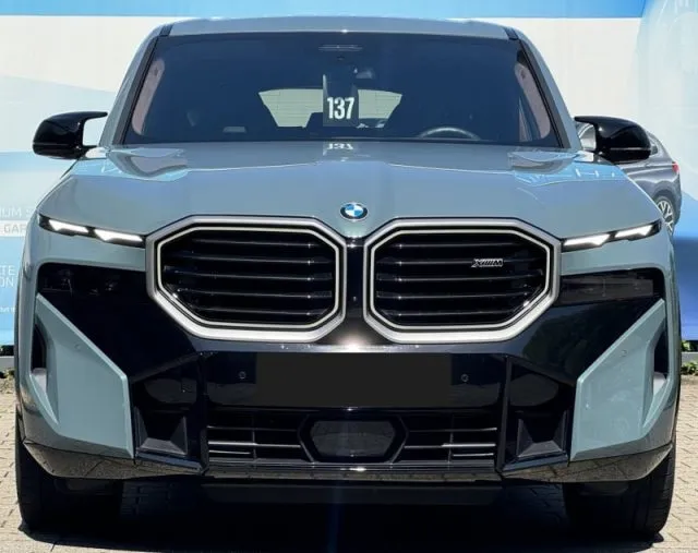 Bmw xm - dettaglio 44
