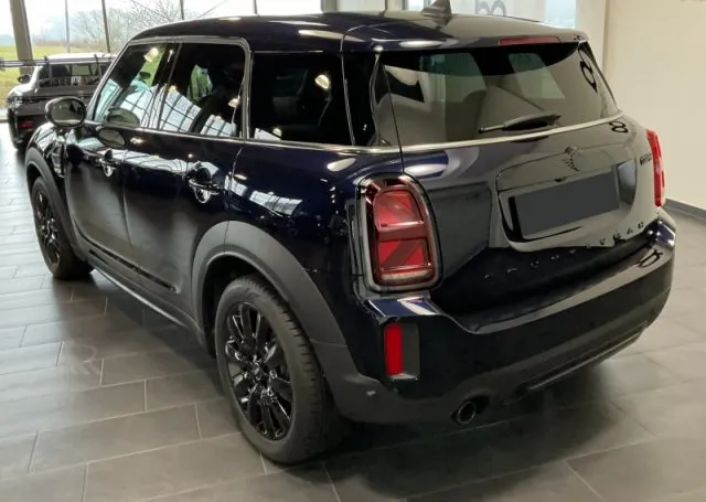 Mini countryman - dettaglio 3