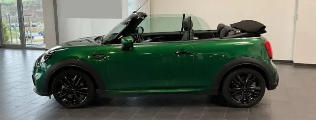 Mini mini - dettaglio 12