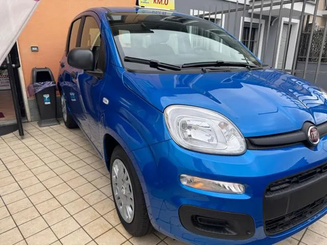 Fiat Panda 1.0 FireFly S&S Hybrid - Foto 2