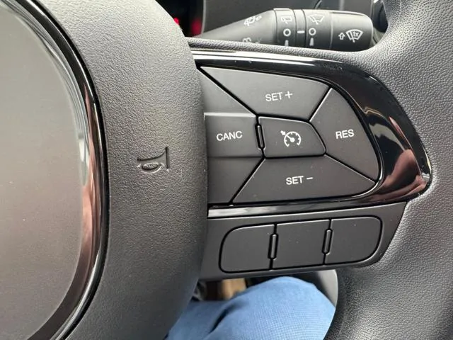 Fiat Panda 1.0 FireFly S&S Hybrid - Foto 8