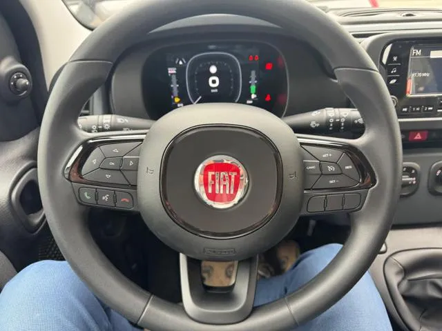 Fiat Panda 1.0 FireFly S&S Hybrid - Foto 9