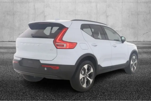 Volvo xc40 - dettaglio 2