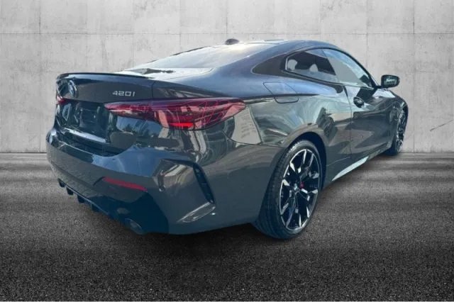 Bmw 420 - dettaglio 11