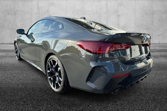 Bmw 420 - dettaglio 20
