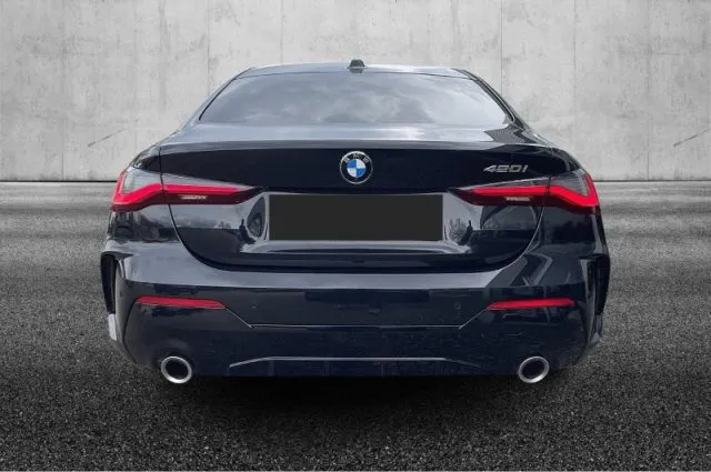 Bmw 420 - dettaglio 21