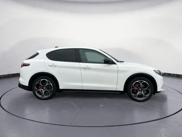 Alfa Romeo Stelvio Stelvio 2.2 T.diesel 210CV AT8 Q4 Veloce - Foto 2