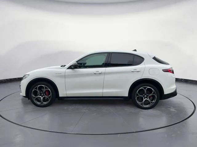 Alfa Romeo Stelvio Stelvio 2.2 T.diesel 210CV AT8 Q4 Veloce - Foto 3