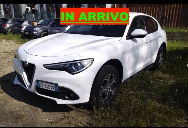 Alfa Romeo Stelvio Stelvio 2.2 T.diesel 190 CV AT8 Q4 Bus. - Foto 1