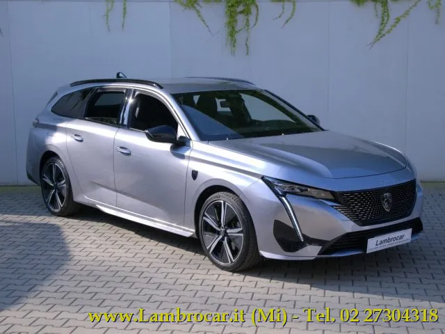 Peugeot 308 - dettaglio 1