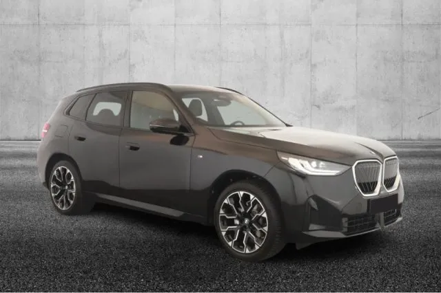 Bmw x3 - dettaglio 2