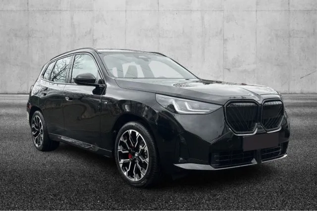 Bmw x3 - dettaglio 2