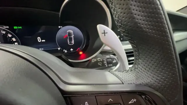 Alfa Romeo Stelvio Stelvio 2.2 T.diesel 210CV AT8 Q4 Veloce - Foto 9