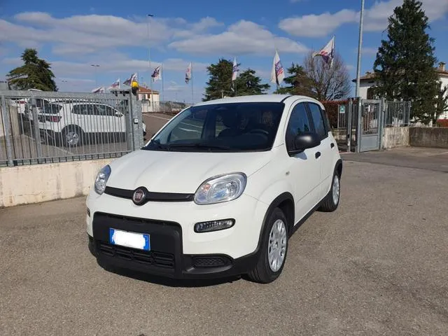 Fiat Panda 1.0 FireFly S&S Hybrid - Foto 1