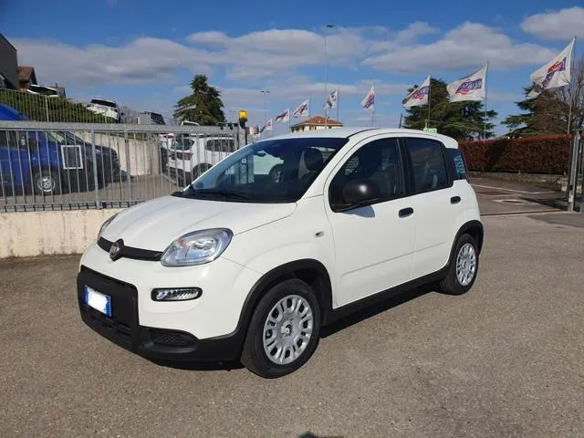 Fiat Panda 1.0 FireFly S&S Hybrid - Foto 2