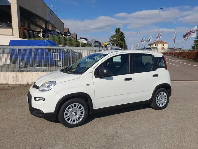 Fiat Panda 1.0 FireFly S&S Hybrid - Foto 3