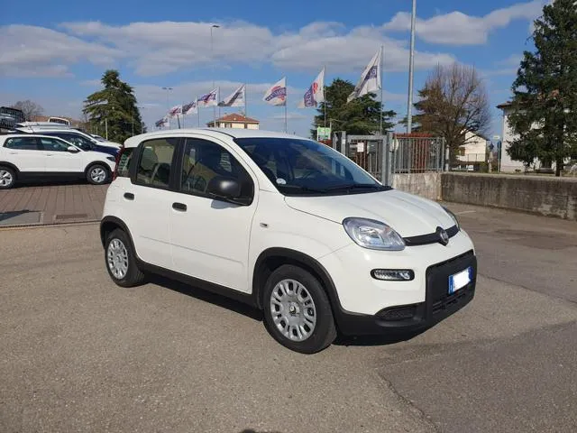 Fiat Panda 1.0 FireFly S&S Hybrid - Foto 5
