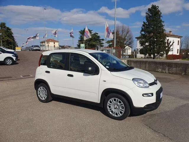 Fiat Panda 1.0 FireFly S&S Hybrid - Foto 6