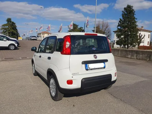 Fiat Panda 1.0 FireFly S&S Hybrid - Foto 8