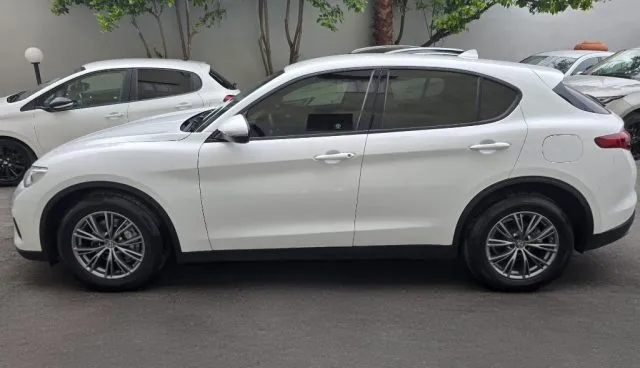 Alfa Romeo Stelvio Stelvio 2.2 T.diesel 160CV AT8 RWD Bus. - Foto 11