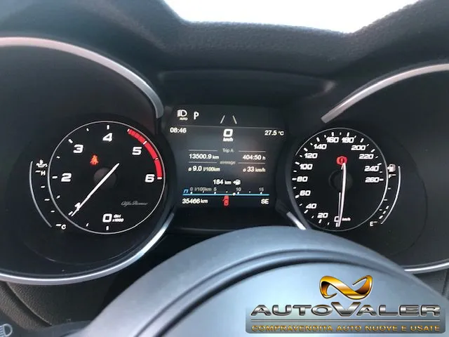 Alfa Romeo Stelvio Stelvio 2.2 T.diesel 190 CV AT8 Q4 Bus. - Foto 14