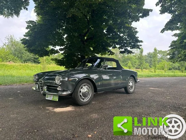Alfa Romeo Giulia SPIDER - TARGA ORO - - Foto 3