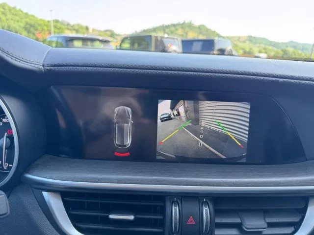 Alfa Romeo Stelvio Stelvio 2.2 T.diesel 210 AT8 Q4 VeloceTì - Foto 14